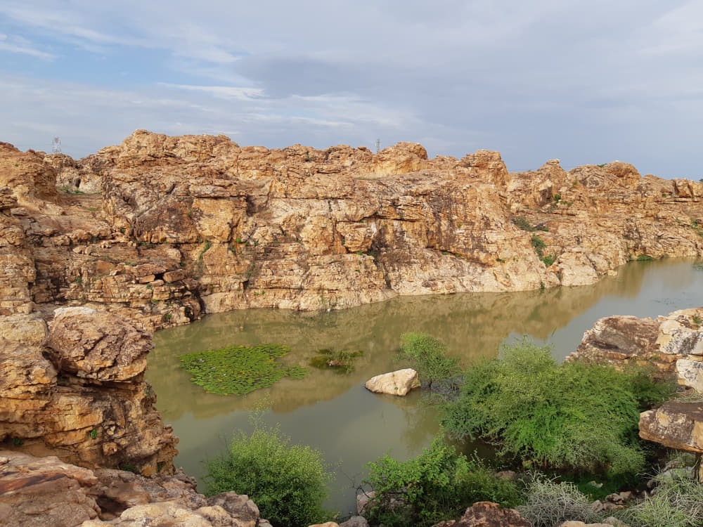 1597146390 shutterstock 1497306137