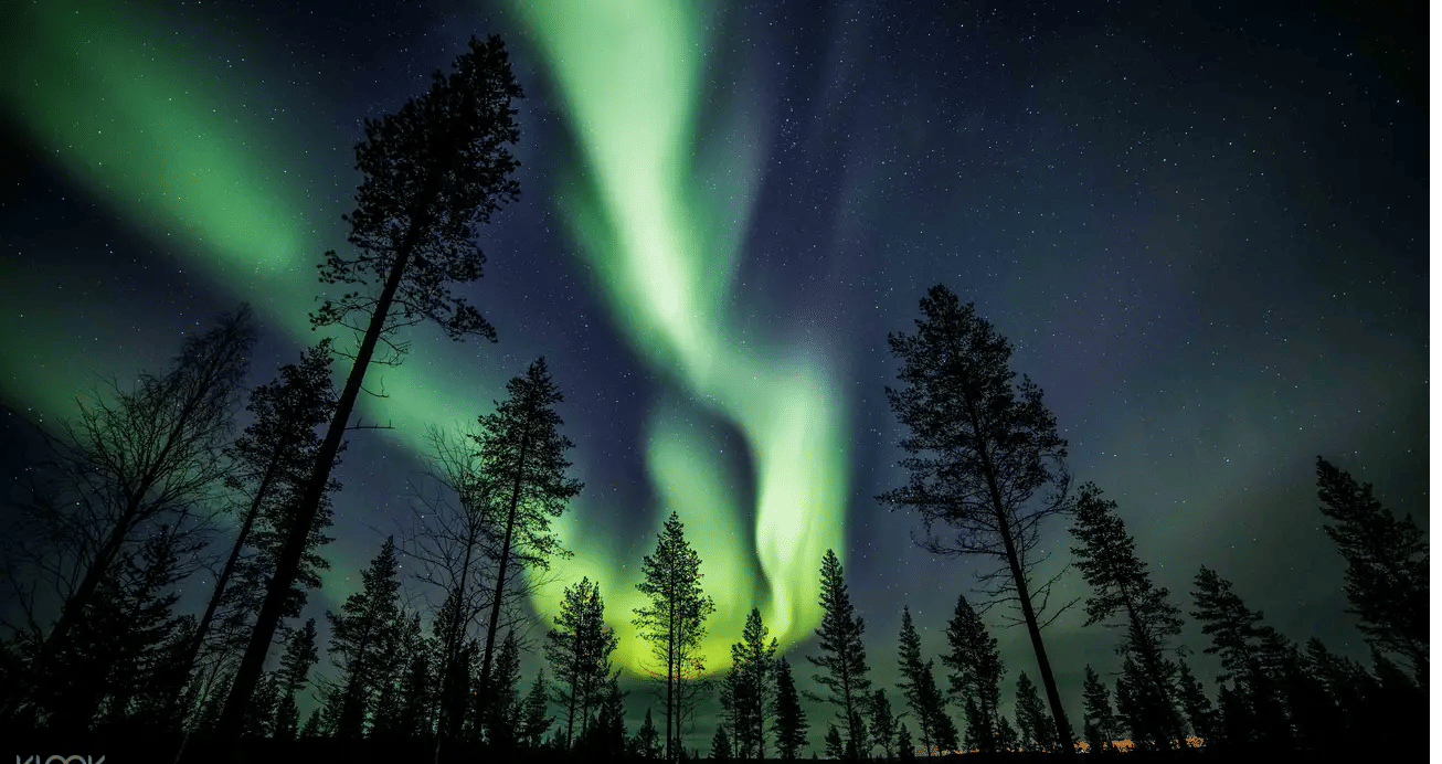 Northern Lights Tour from Rovaniemi, Book Now @ Flat 20% off