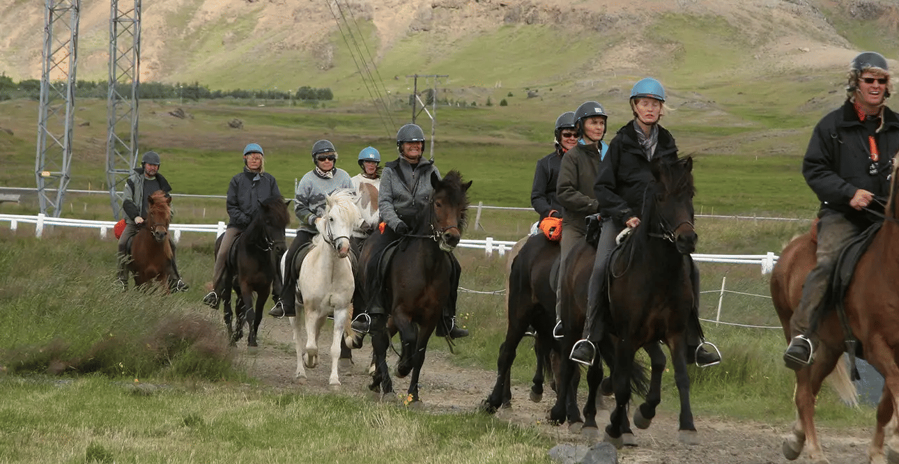 Golden Circle Tour Reykjavik with Horse Riding, Flat 19% off