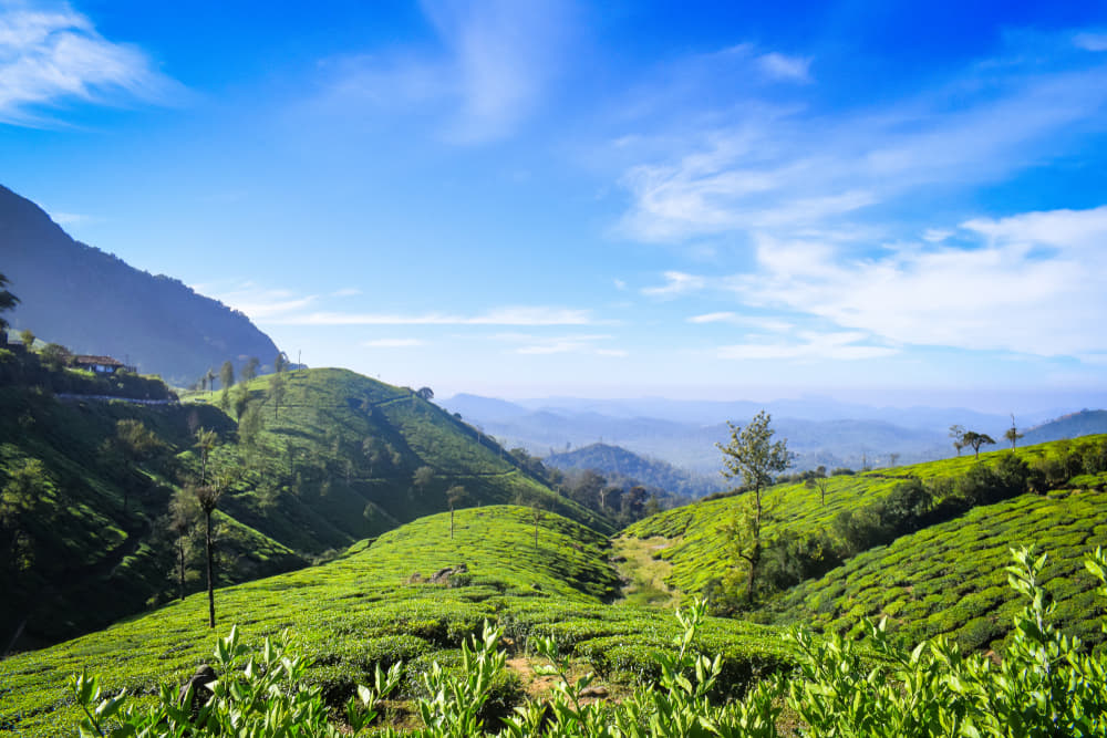 1600690504 shutterstock 1318771088 (1)