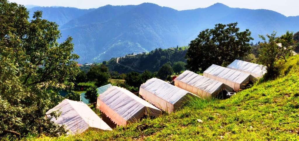 Valley View Camping in Shimla | Flat 31% off