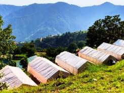 Valley View Camping in Shimla | Flat 31% off