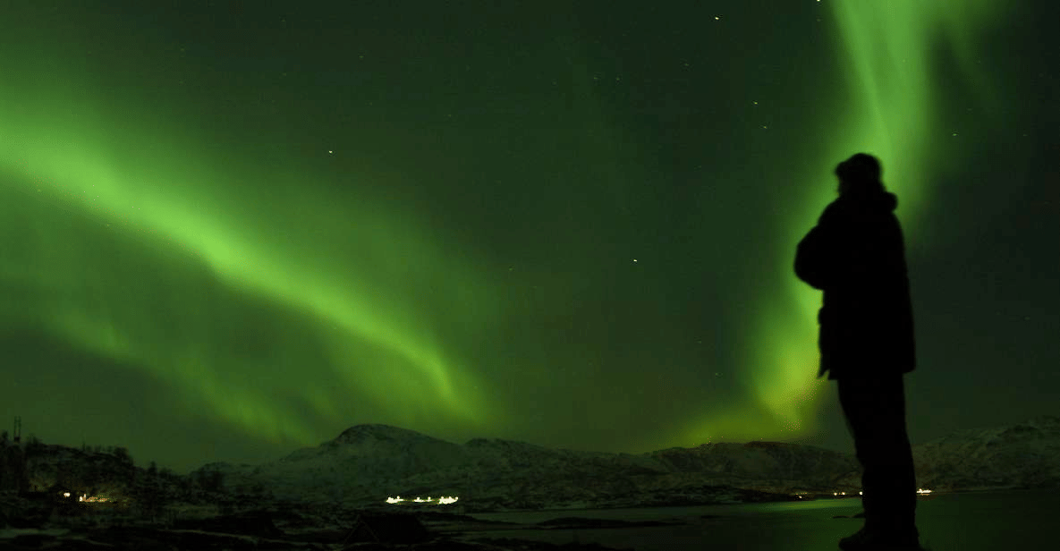 Tromso Cable Car with Northern Lights, Book @ Flat 19% off