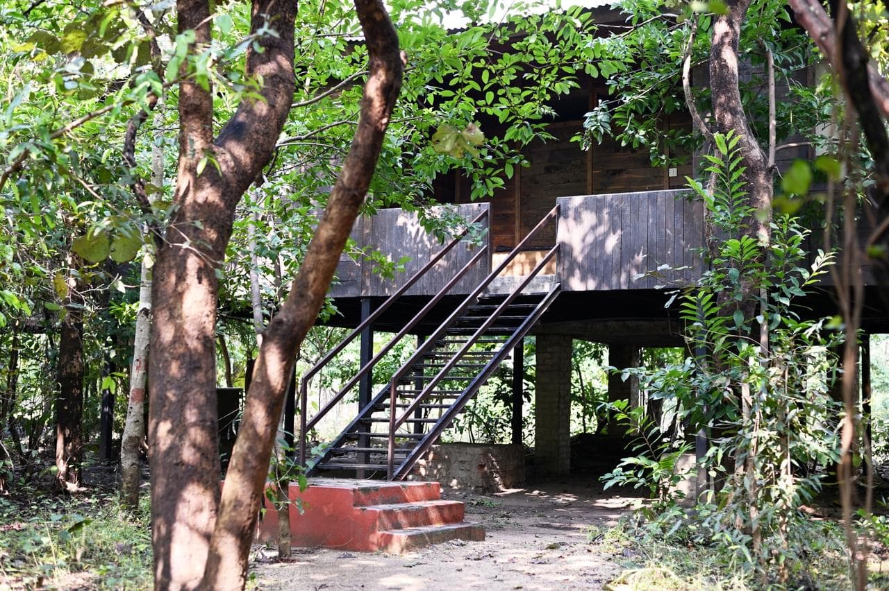 Tiger N Woods Resort, Pench | Book Online @12% off
