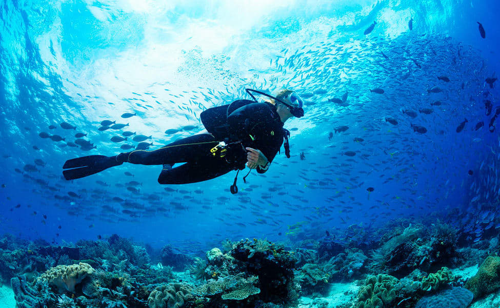 Scuba Diving in Chennai
