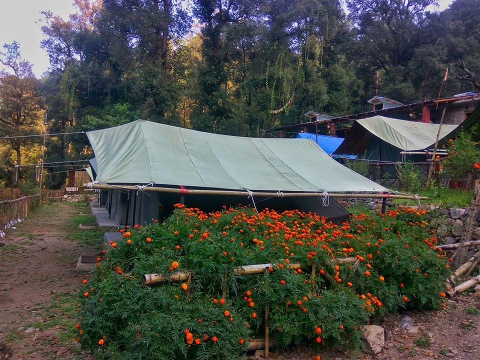 Jungle Camp Nainital | Book Now & Get 12% off