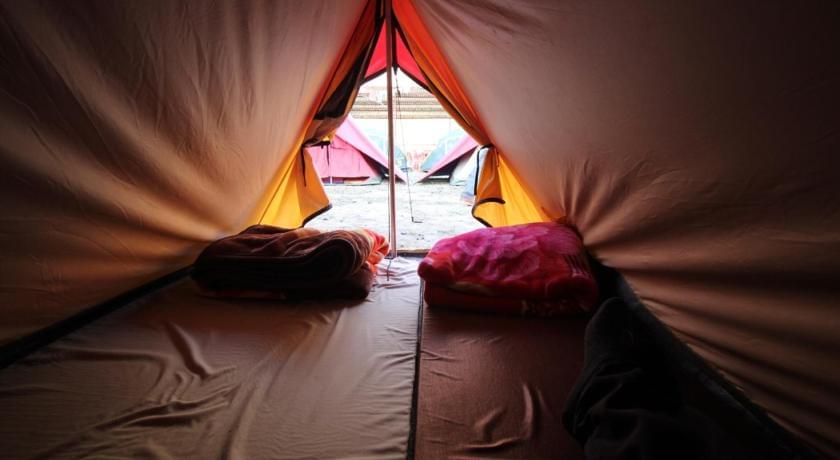 Adventure Camp in Dalhousie I Book & Save ₹ 200