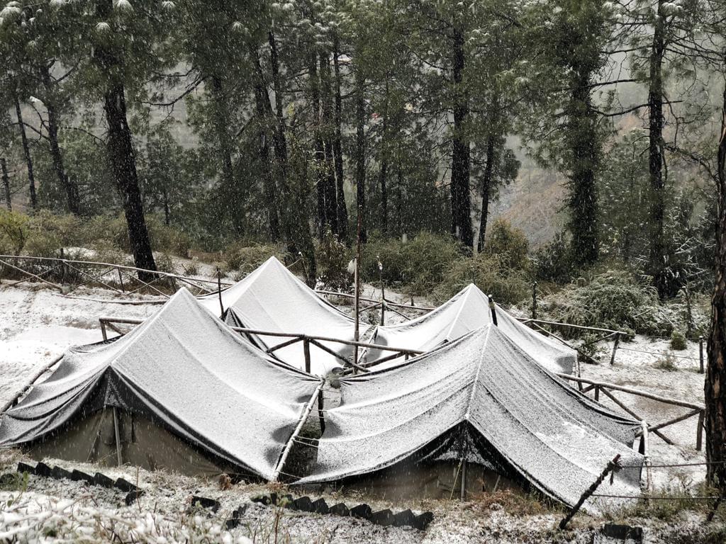 Jungle Camping in Dalhousie with Adventure Activities