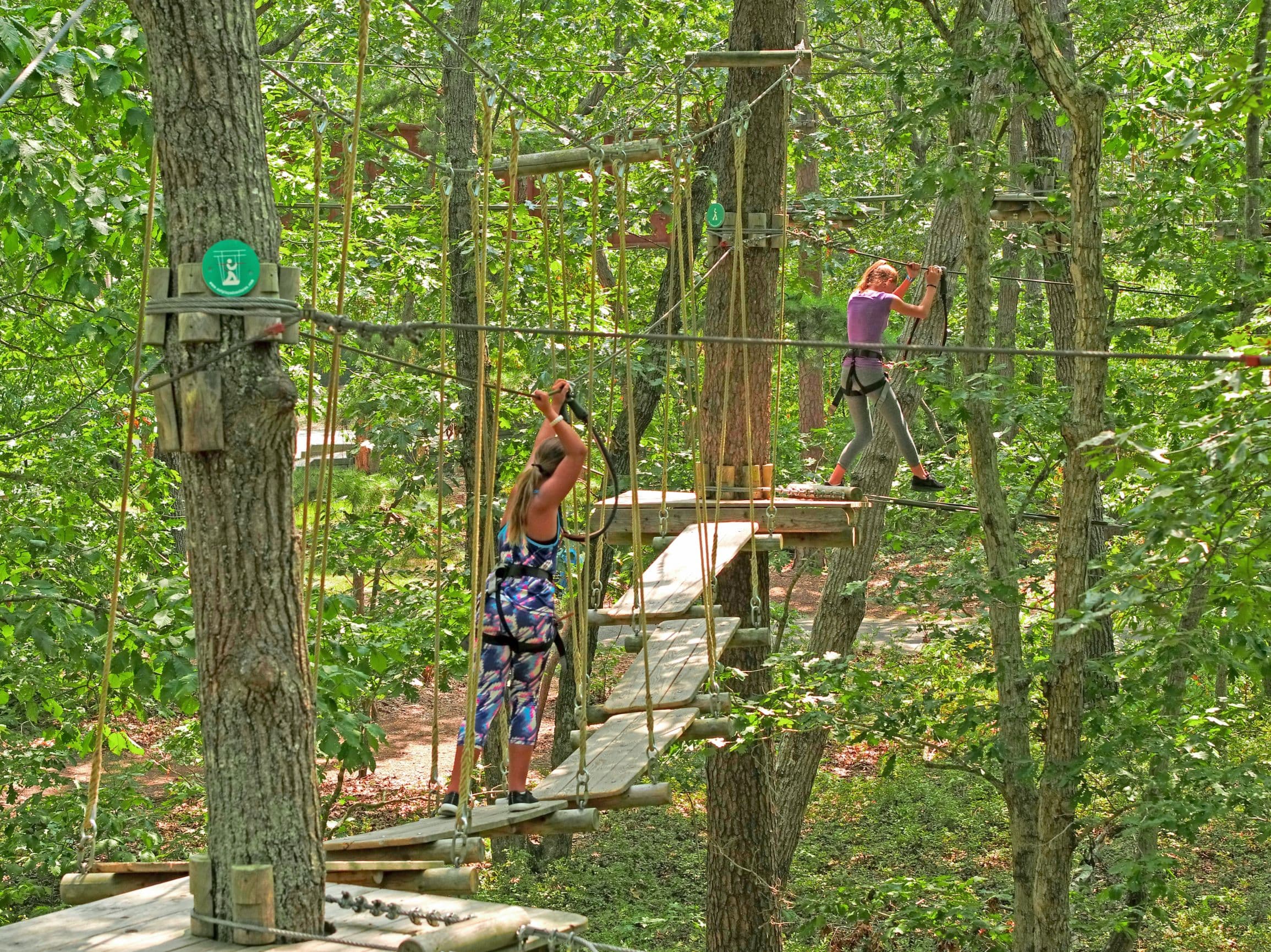 8 Course Obstacle Activity near Jim Corbett Flat 14% off