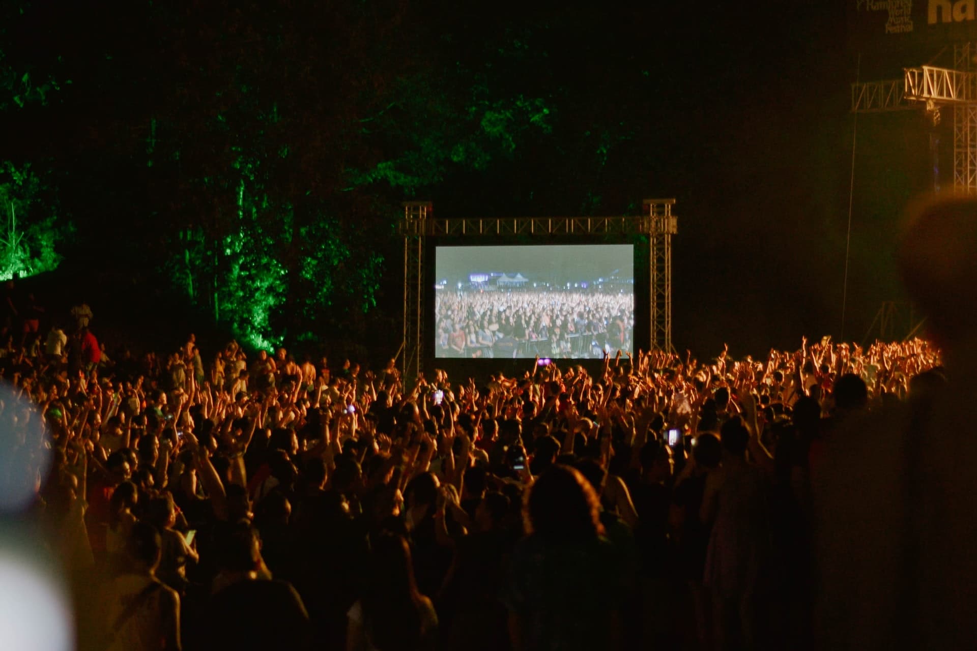 Watch a Film Under the Stars