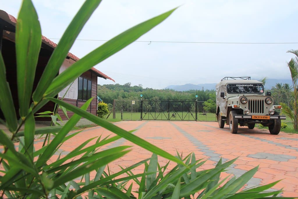 Homestay near Madumalai National Park