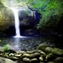 3 Waterfalls in Dandeli: {{year}} (Location & Best time to Visit)