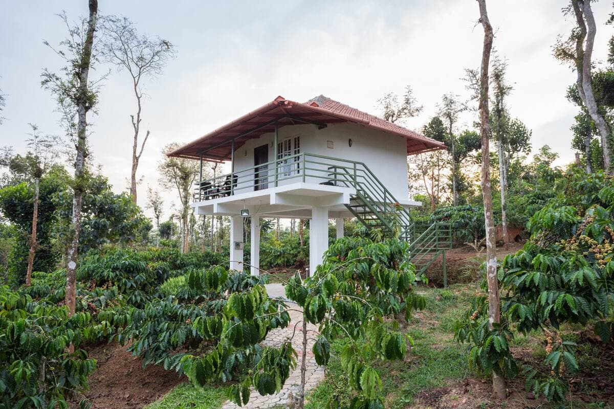 A Villa Stay Amidst Vast Coffee Plantations of Wayanad
