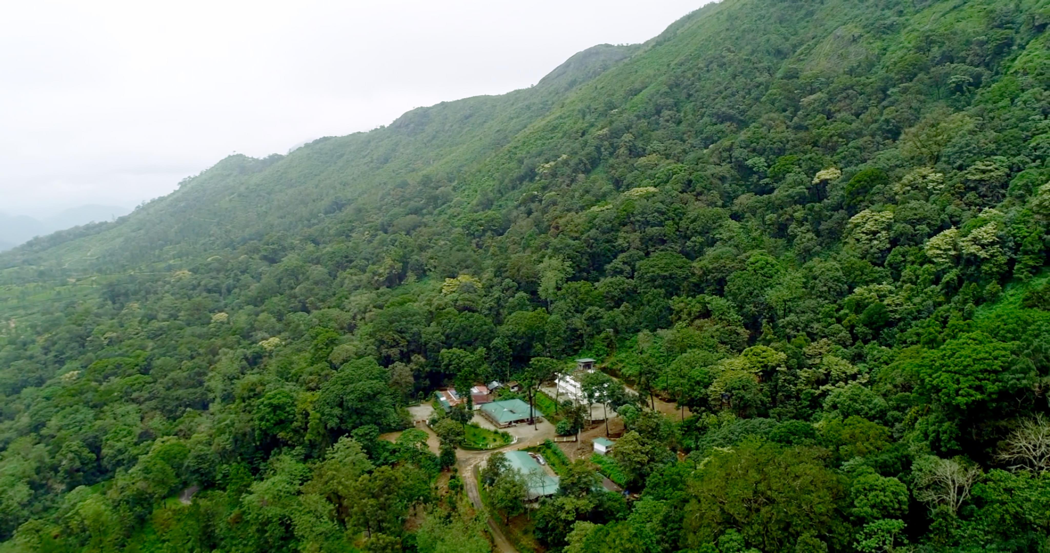 Hilltop Camping Experience, Munnar