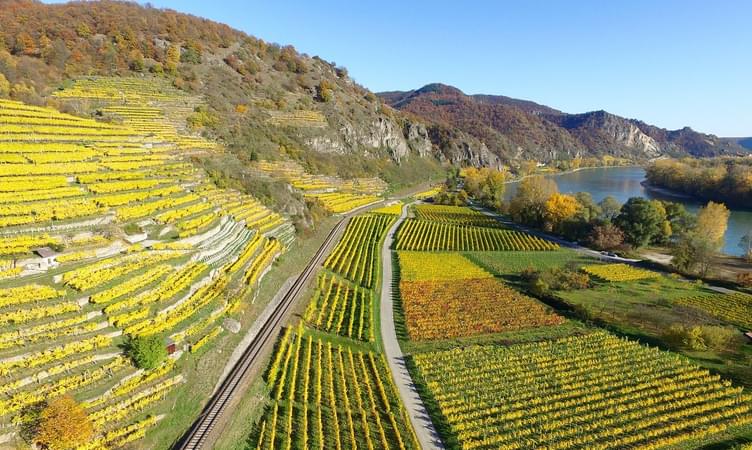 Visit A UNESCO Vineyard At Vevey