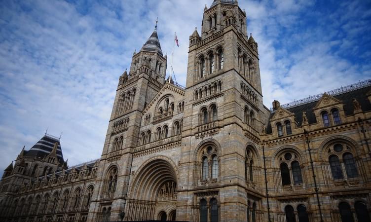 Stroll Around The Natural History Museum