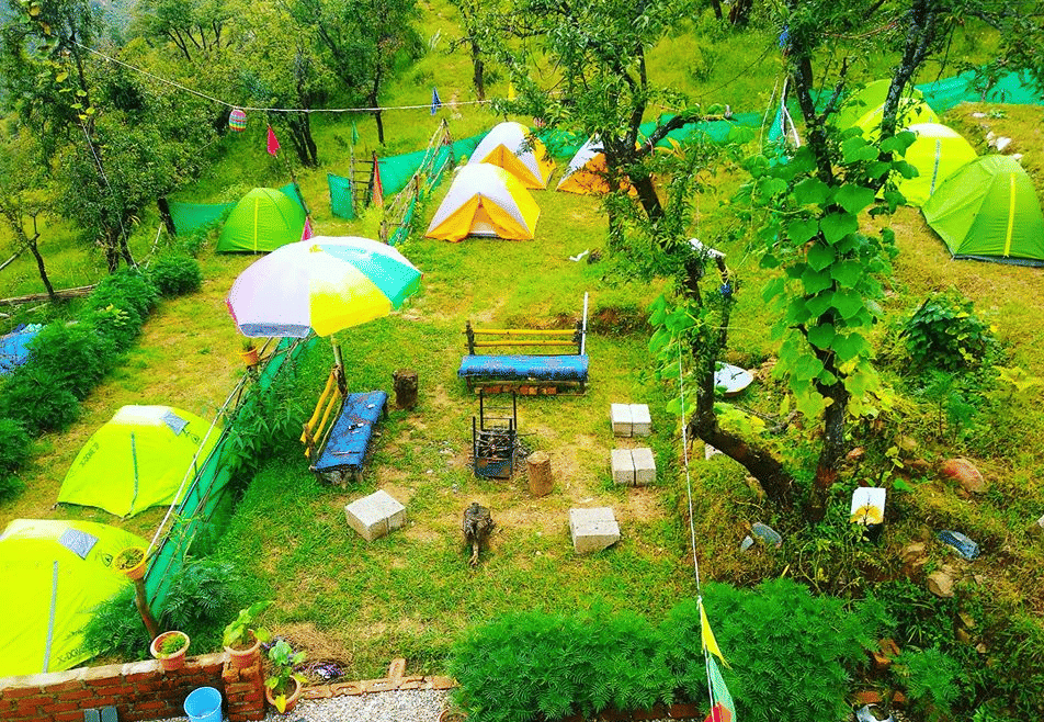 Camping with Adventure Activities in Dharamshala
