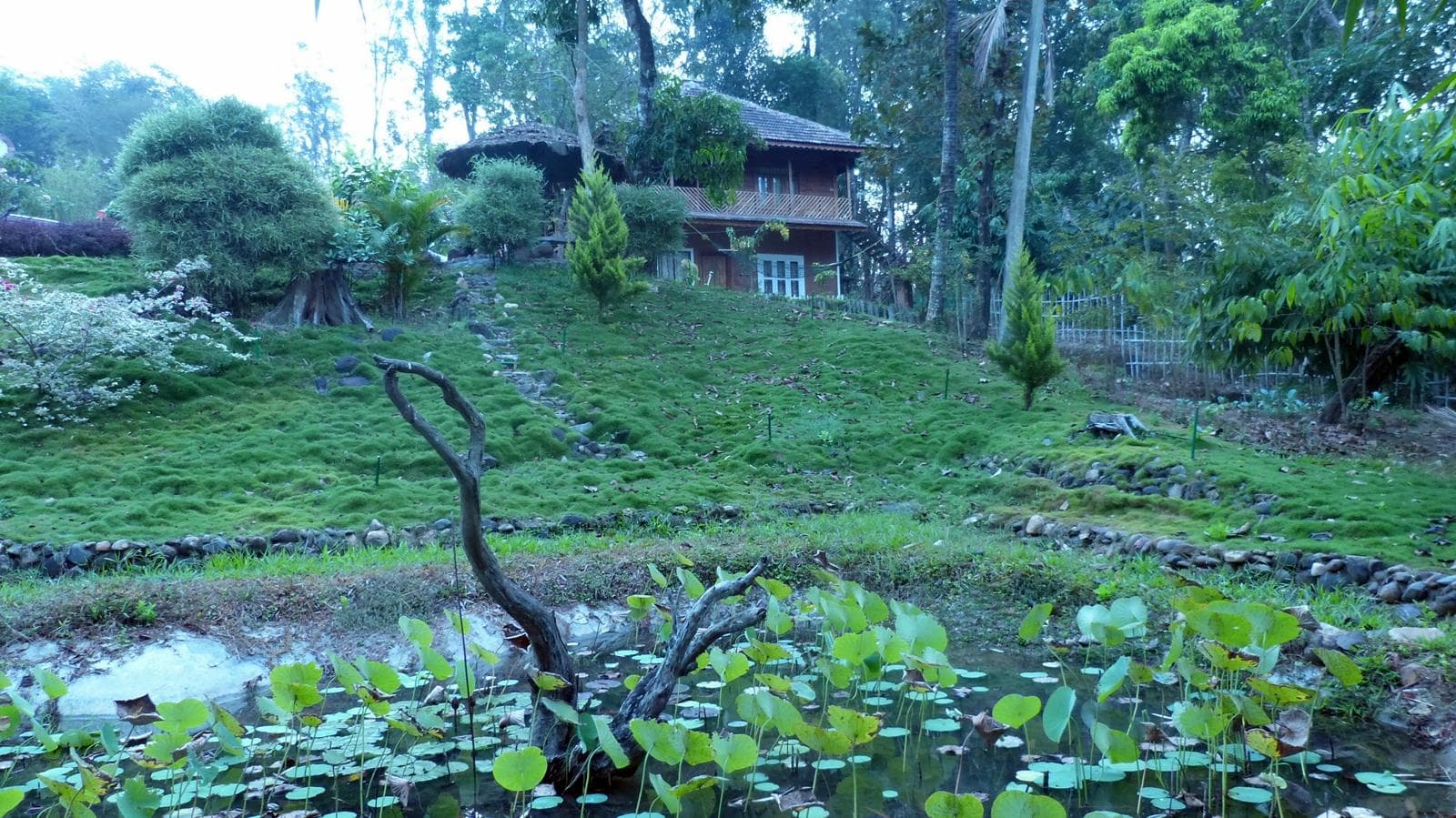 Coffee Plantation Stay Experience in Wayanad