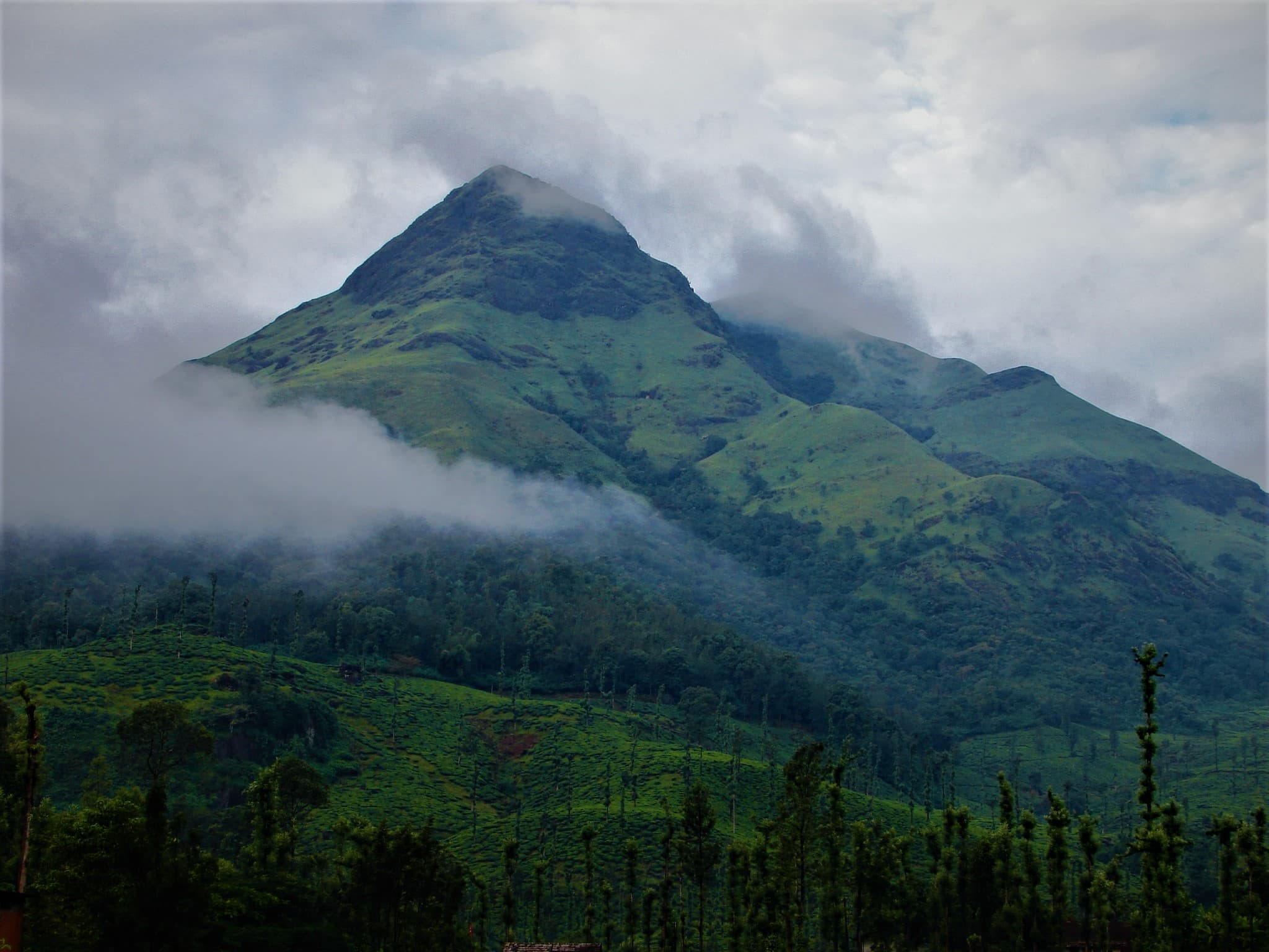 10 Places to Visit in Vythiri For A Fun Trip in {{year}}