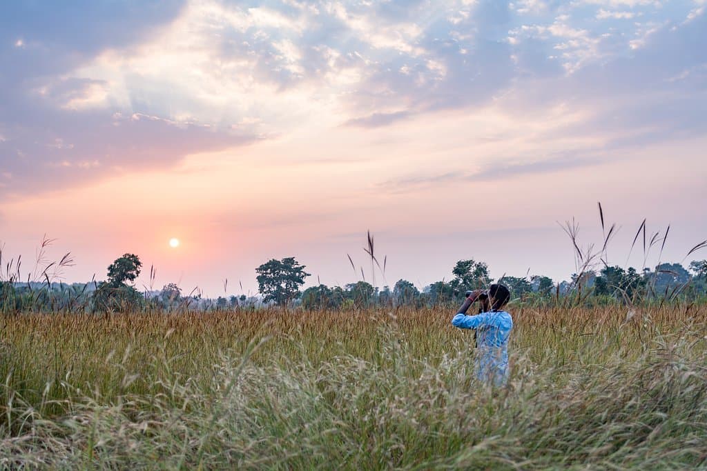 Bandhavgarh National Park Wildlife Tour Package