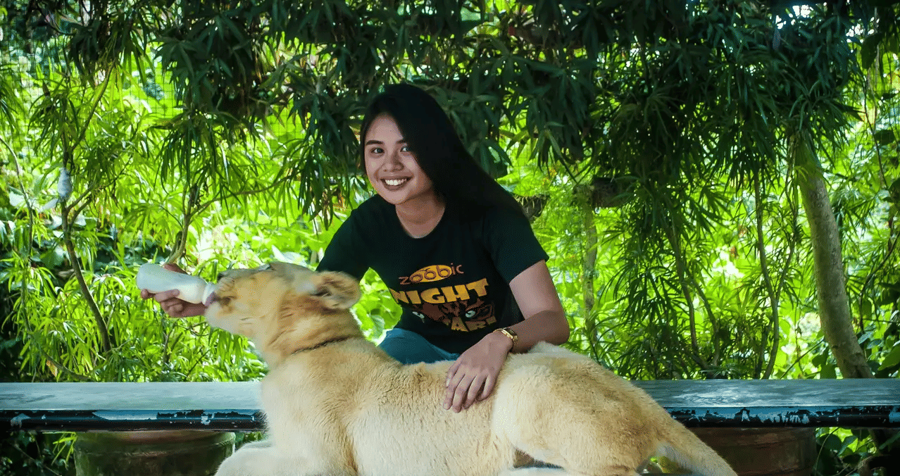 Zoocolate Thrills Theme Park Ticket in Bohol, Book @ Flat 10% off