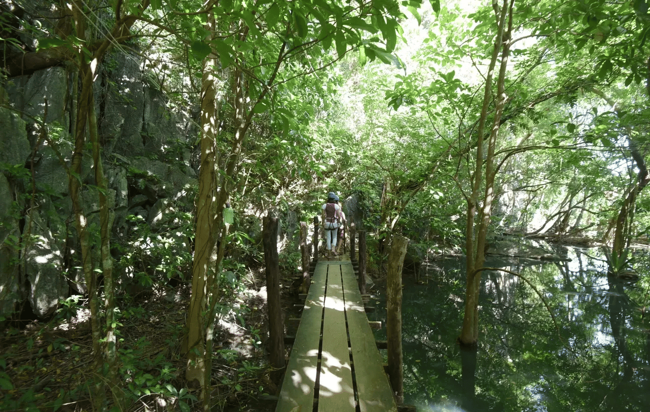 Taraw Cliff El Nido Canopy Walk, Book Now @ Flat 15% off