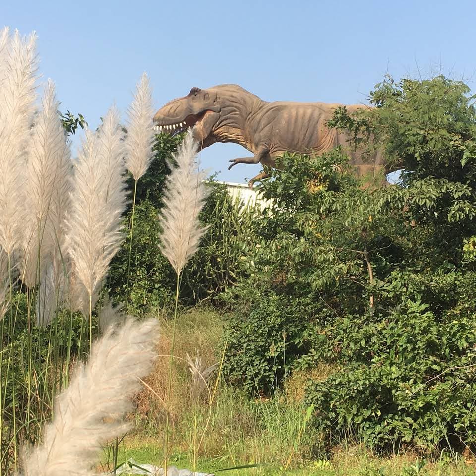 Dinosaur Park Lonavala Tickets, Book Now @ ₹250 Only!