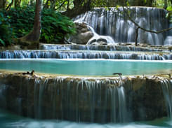 Pak Ou Cave & Kuang Si Waterfall Day Tour, Book Now @ Flat 19% off