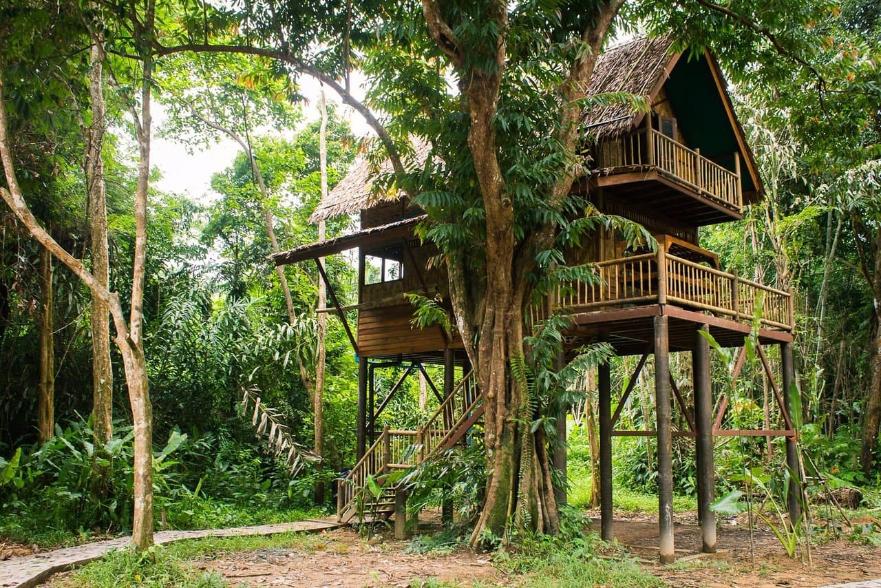 Valley View Tree House Stay near Chikmagalur
