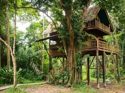 Valley View Tree House Stay near Chikmagalur