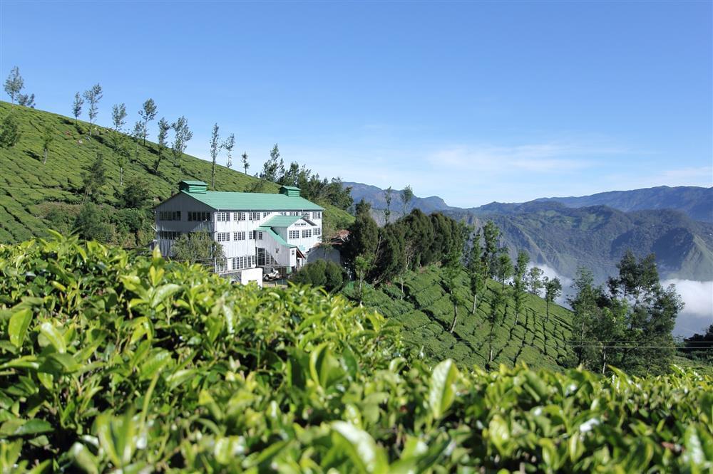 Kodaikanal Tea Estate Tour I Book Online & Get Flat 30% Off