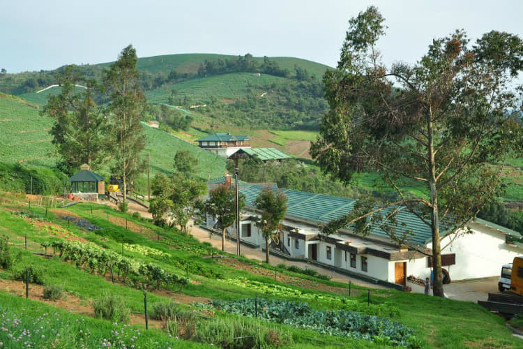 Valley View Homestay in Ooty: Flat 10% off