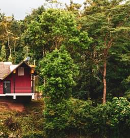 10 Homestay in Chikmagalur with Swimming Pool, Upto 50% Off