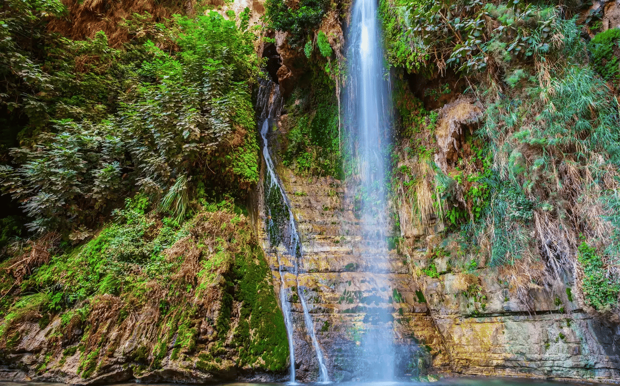 Sunrise Masada and Dead Sea Tour, Book Now @ Flat 9% off