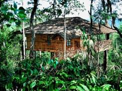 Tree House Stay in the Lap of Nature , Munnar
