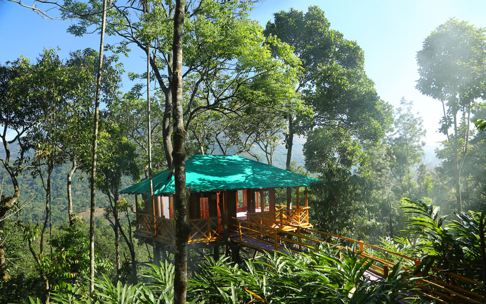 Dream Catcher Plantation Resort, Munnar | Book @ 22% off