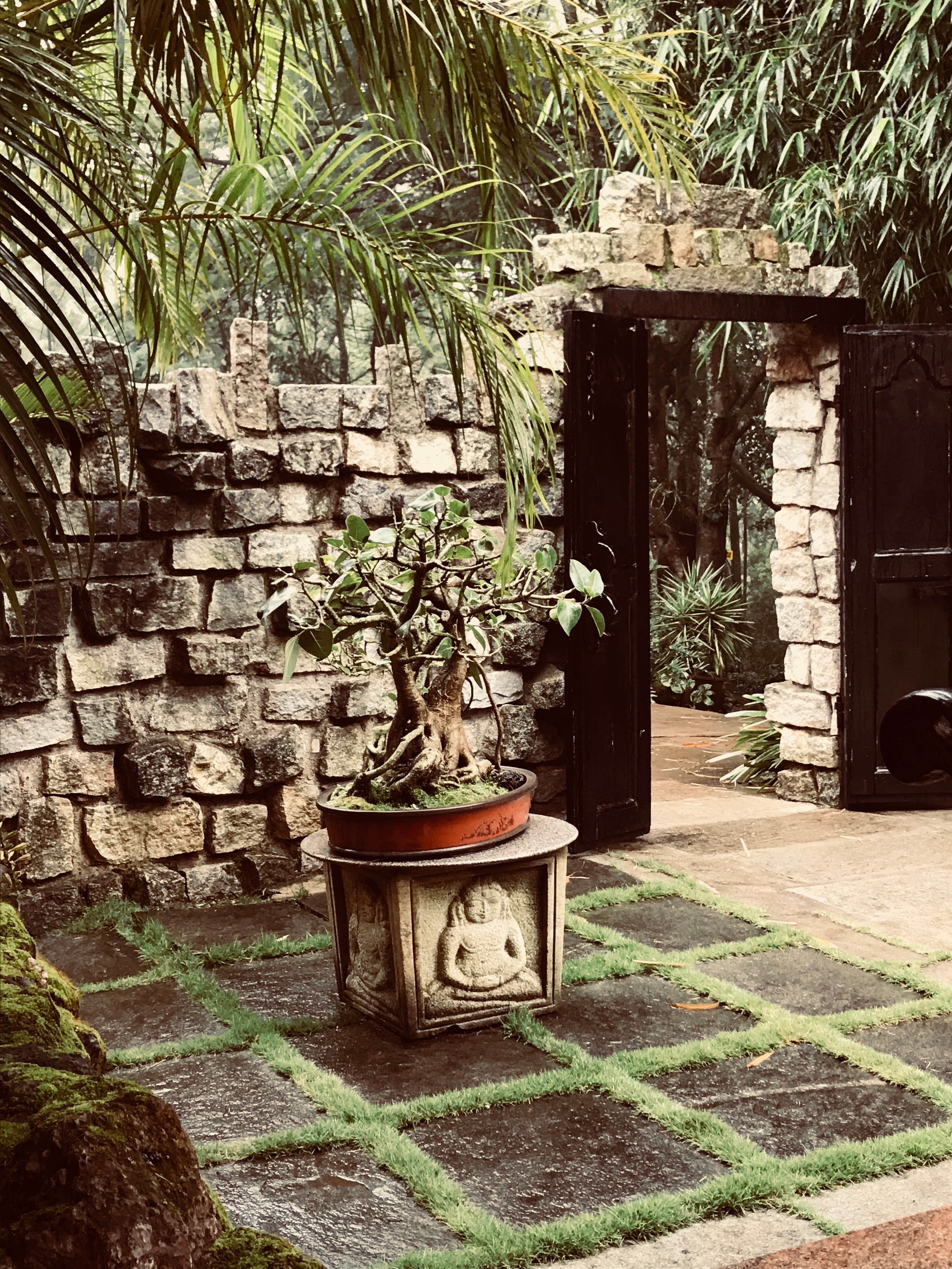 15 Villas in Chikmagalur in {{year}} (Location &amp; Price)