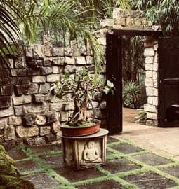 15 Villas in Chikmagalur in {{year}} (Location & Price)