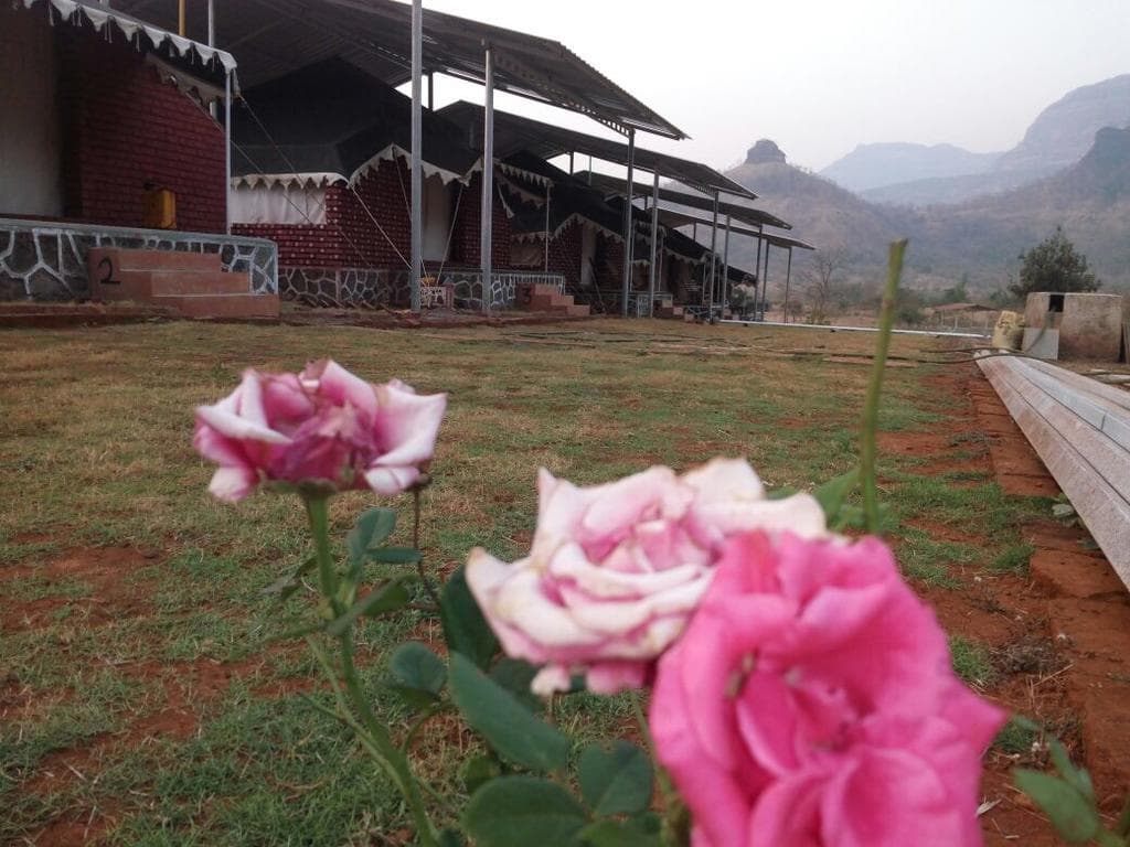 Luxury Camping Near Karjat | Book Online @ Flat 17% Off
