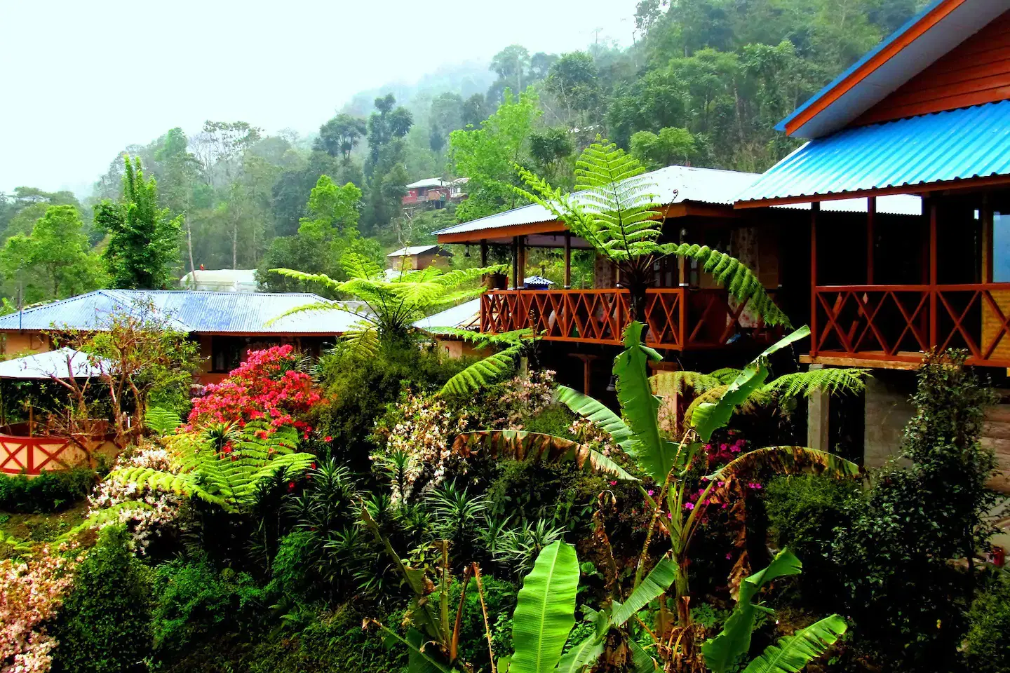 Traditional Village Homestay at Gangtok