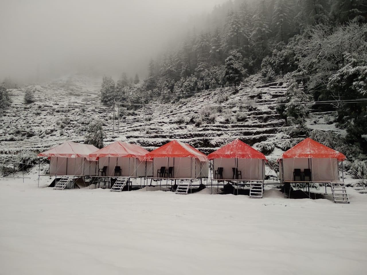 Offbeat Camping in Barot Flat 20% off