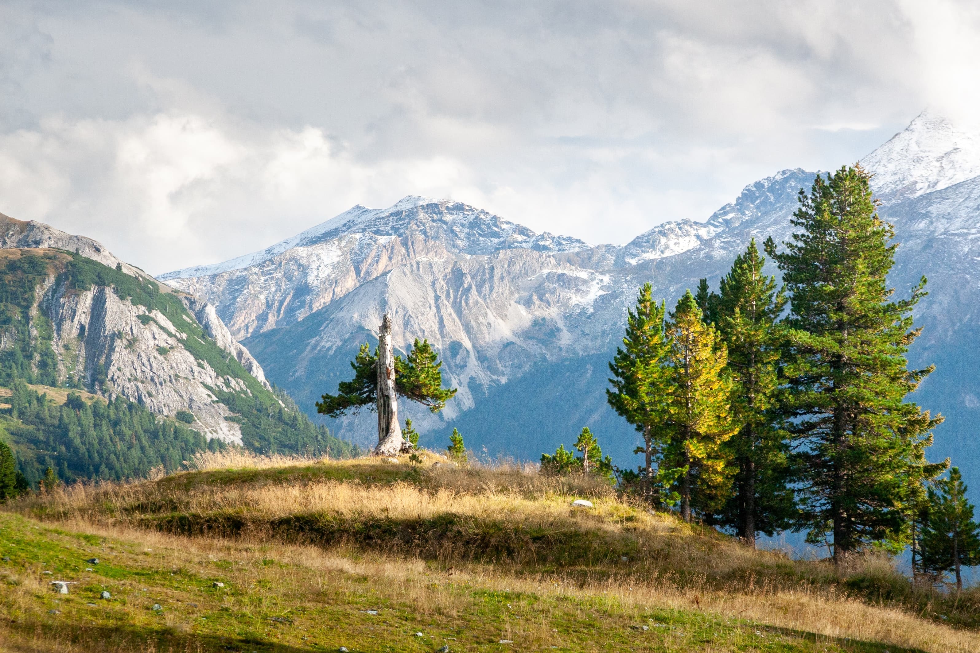 Tour to Mcleodganj and Dharamshala | Flat 20% off