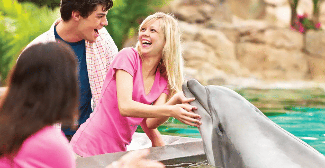 Seaworld Orlando Tickets, Book Now @ Flat 19% off