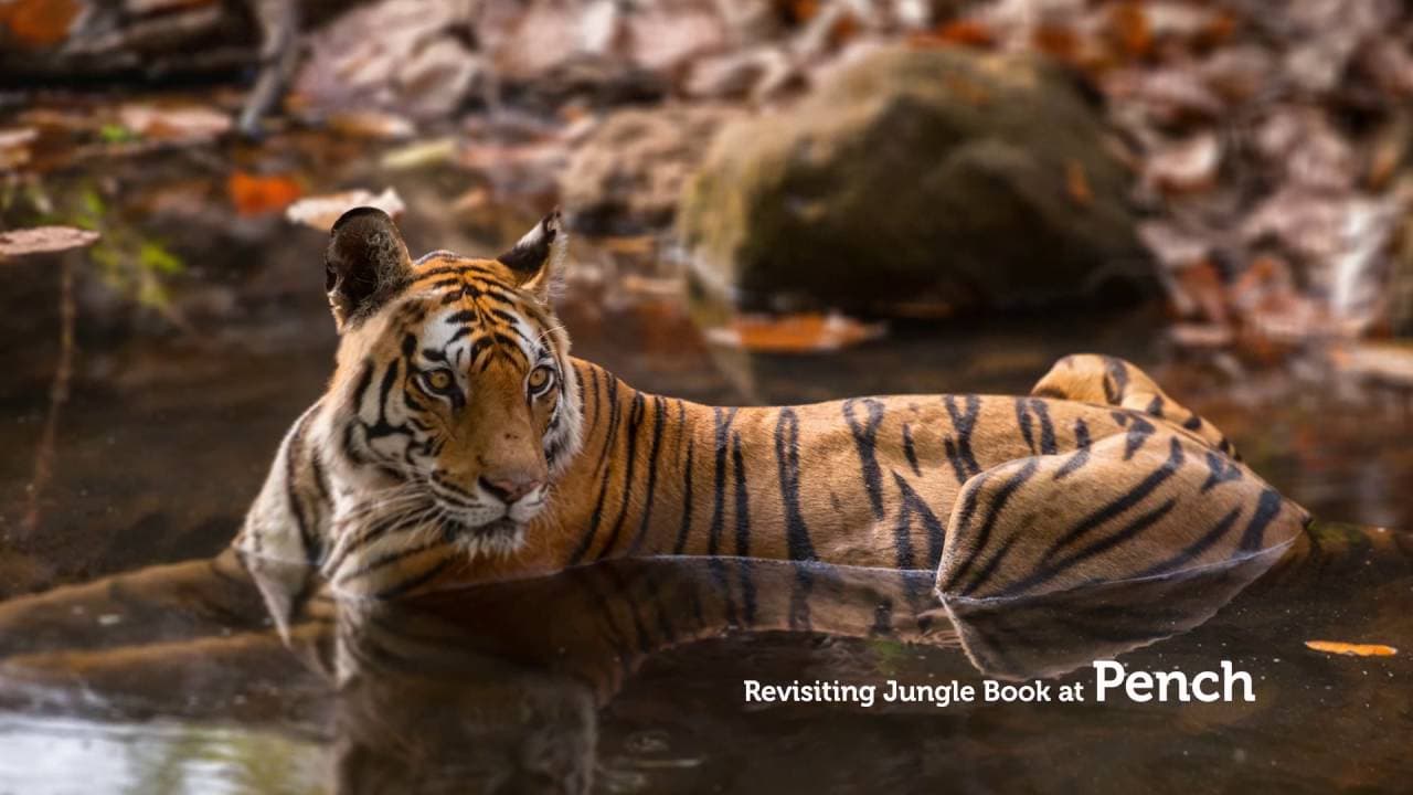 Educational Tour to Mowgli's Land