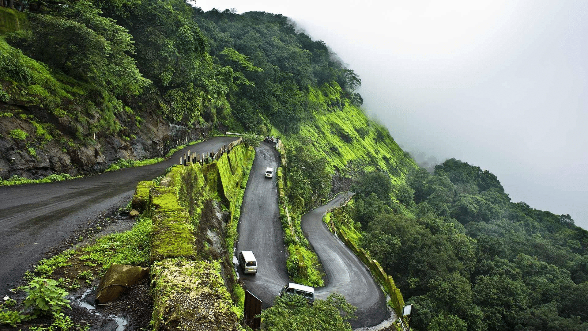 Maharashtra India September 2013 Tourist At Malshej Ghat On A Cloudy Day  With Yellow Flowers Stock Photo - Download Image Now - iStock