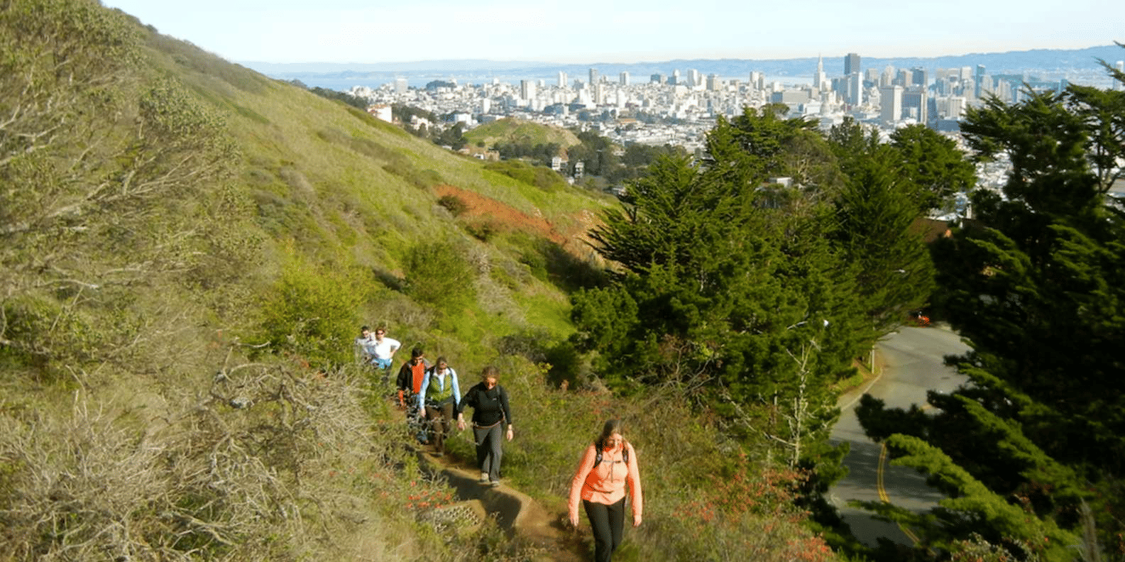 Twin Peaks Sf Hike with Castro, Book Now @ Flat 20% off