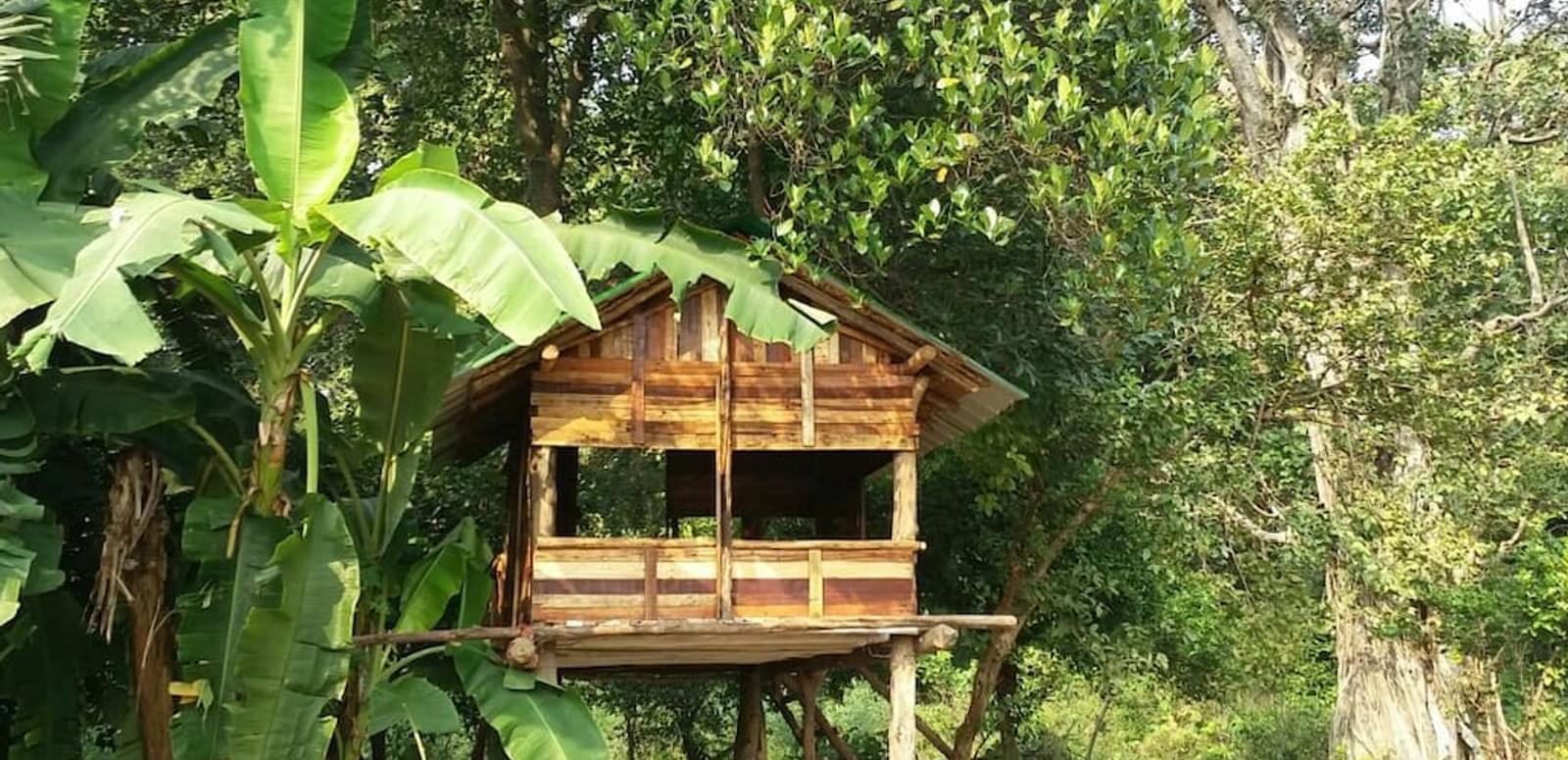 Tree House Stay In Jim Corbett