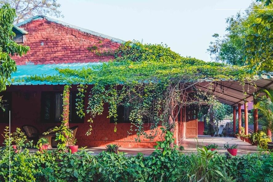 Jungle Cottage in Jim Corbett