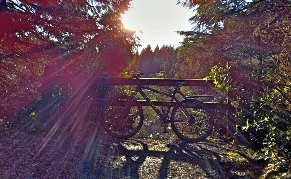 Mountain Biking Experience in Kangra Valley Mcleodganj | Flat 28% off