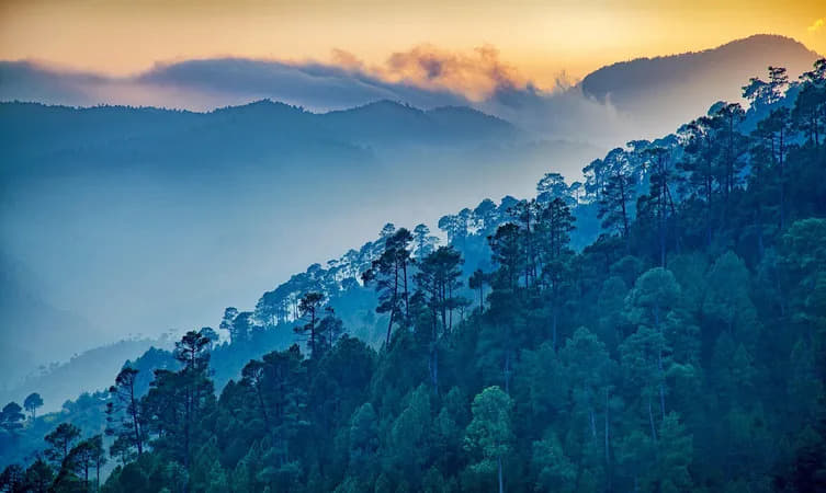 Ranikhet